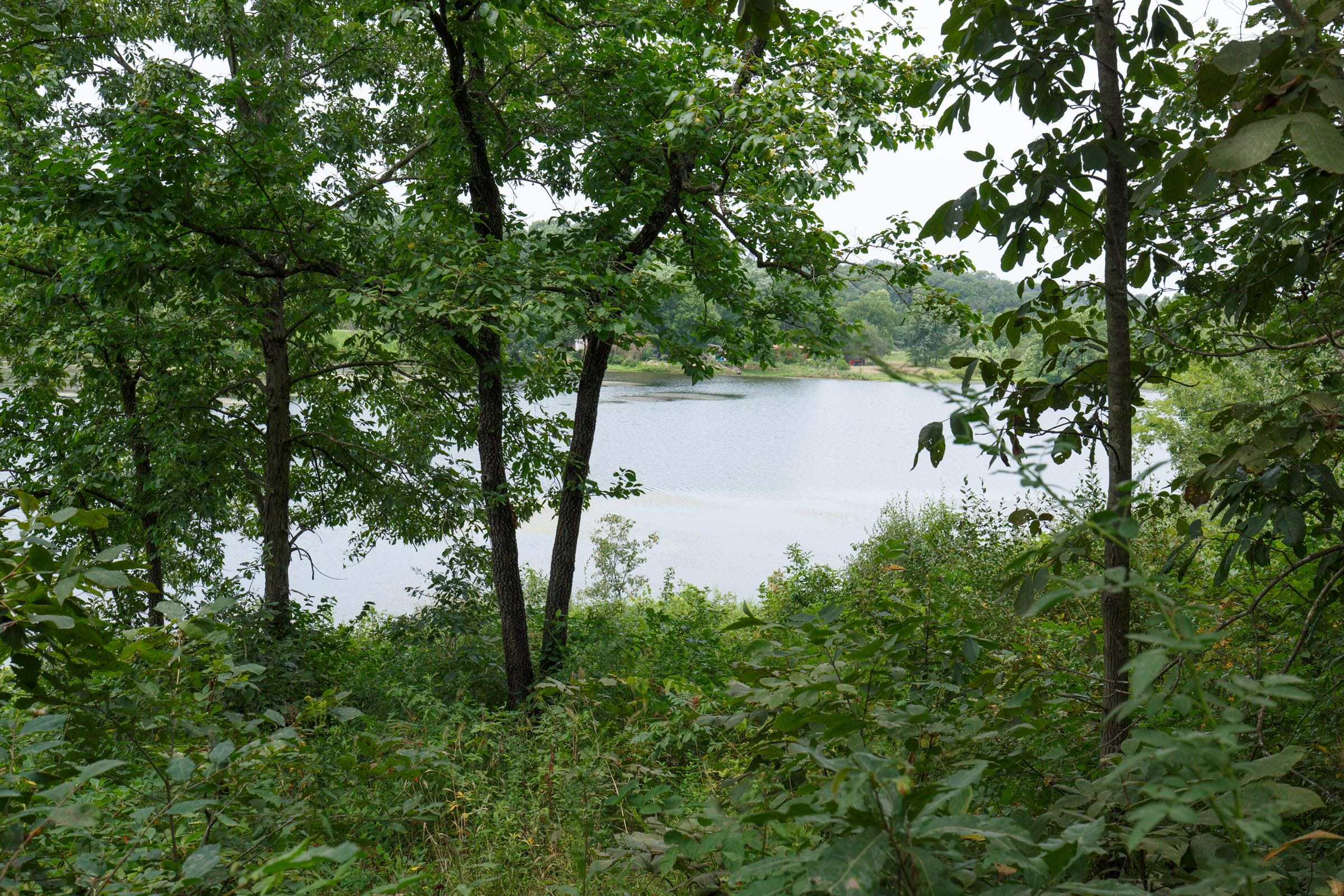 SPL-P3-T6 tract image