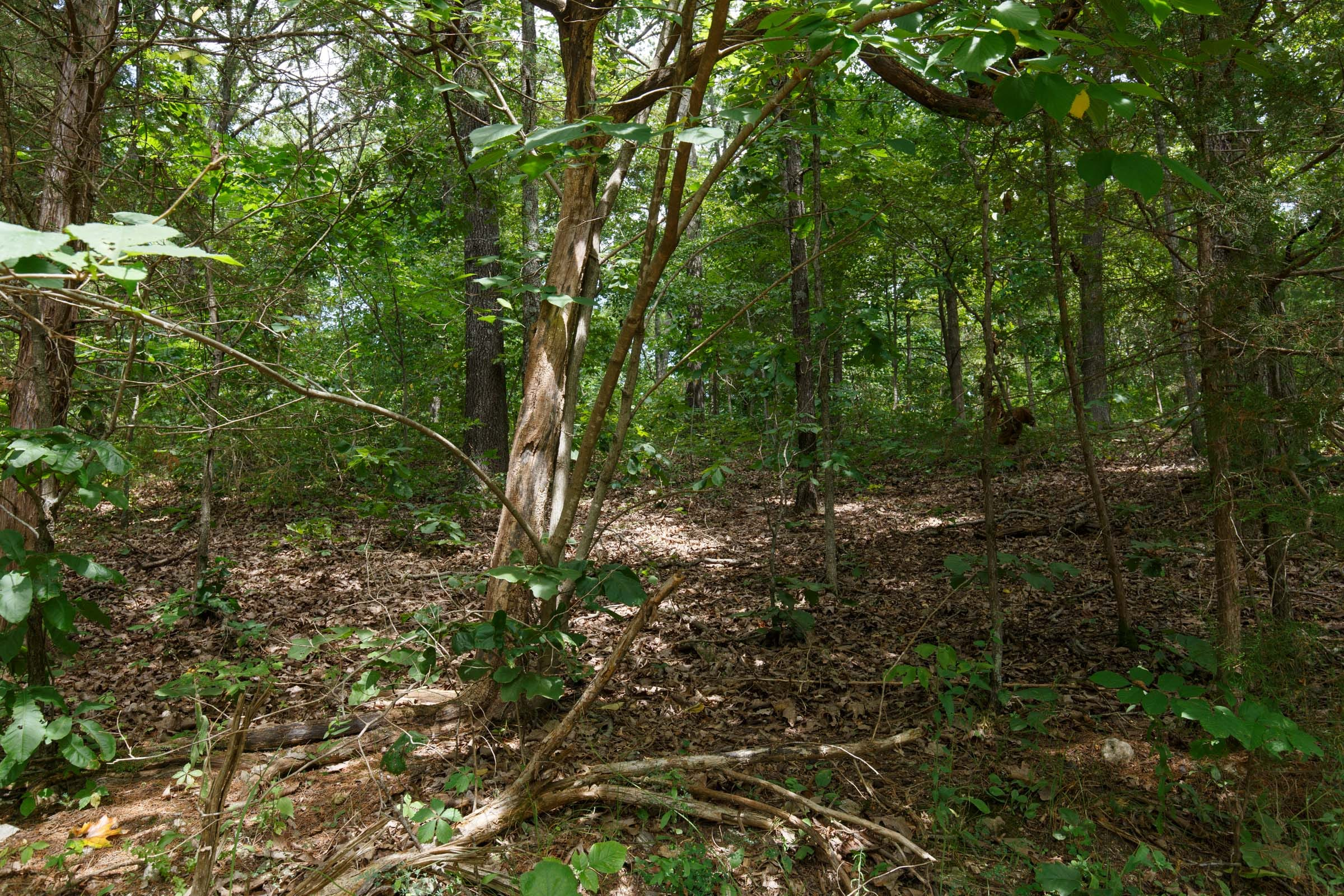 SPL-P5-T250 tract image