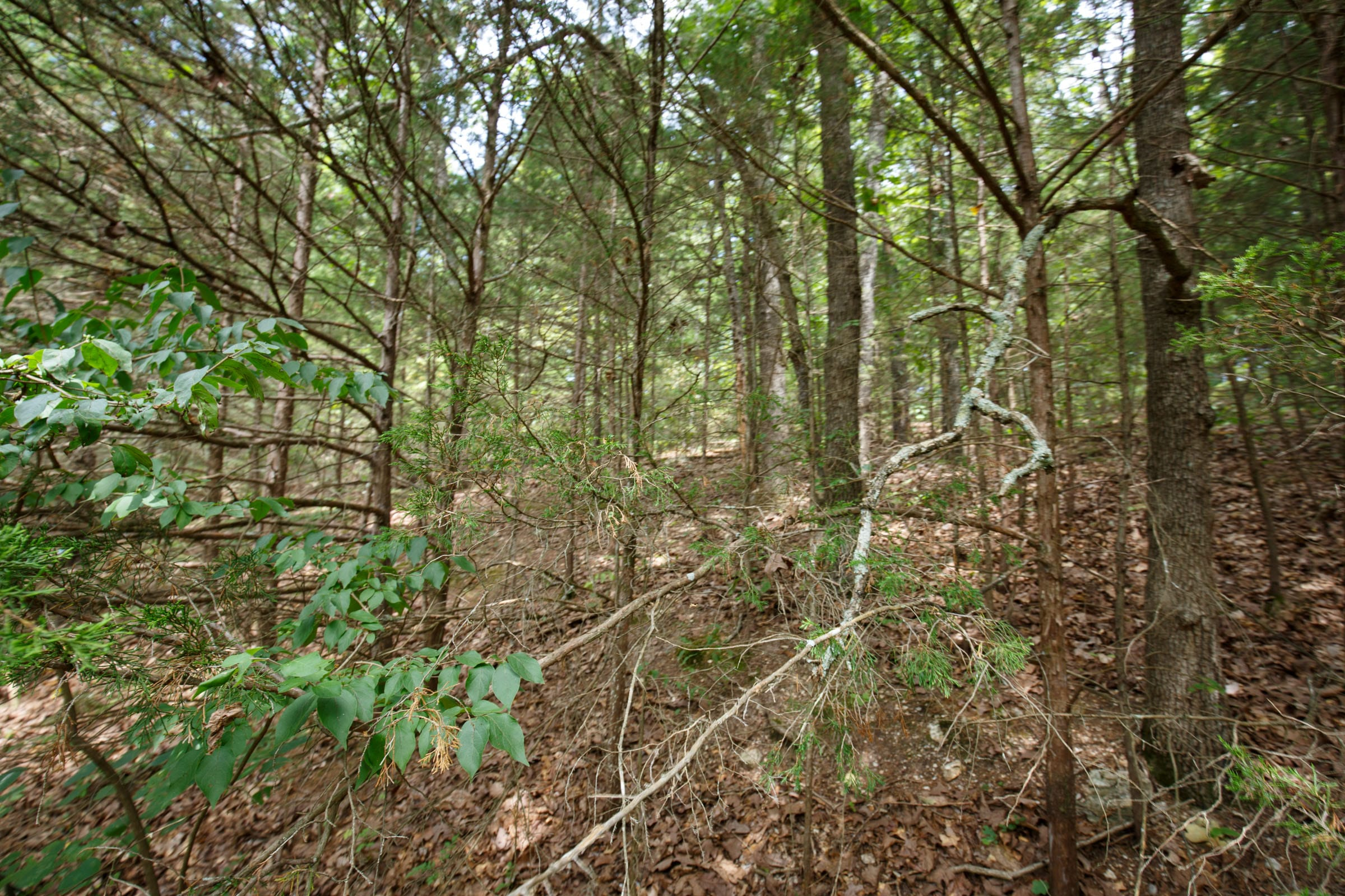 SPL-P5-T302 tract image